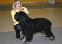 /album/fotogalerie-foto-galerie/aires9-jpg1/