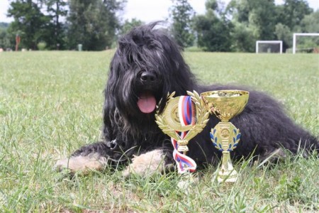 Česká národní výstava psů Mladá Boleslav, 17.7.2010 