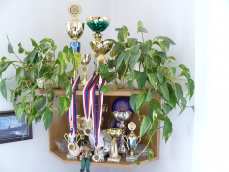 Bilancování roku 2010